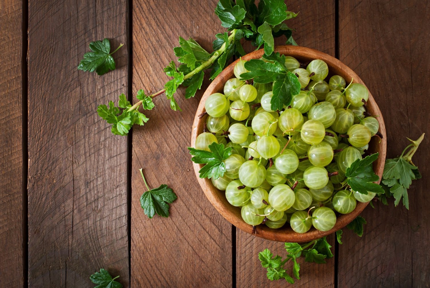 10 Scientific Benefits of Amla - Spice Divine