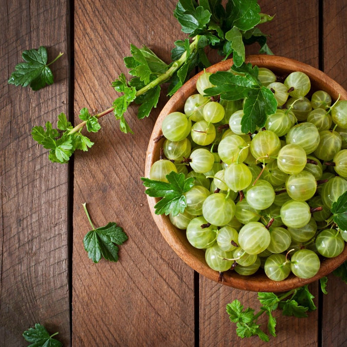 10 Scientific Benefits of Amla - Spice Divine