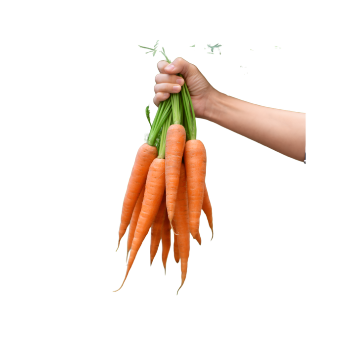 Carottes rouges 1 lb