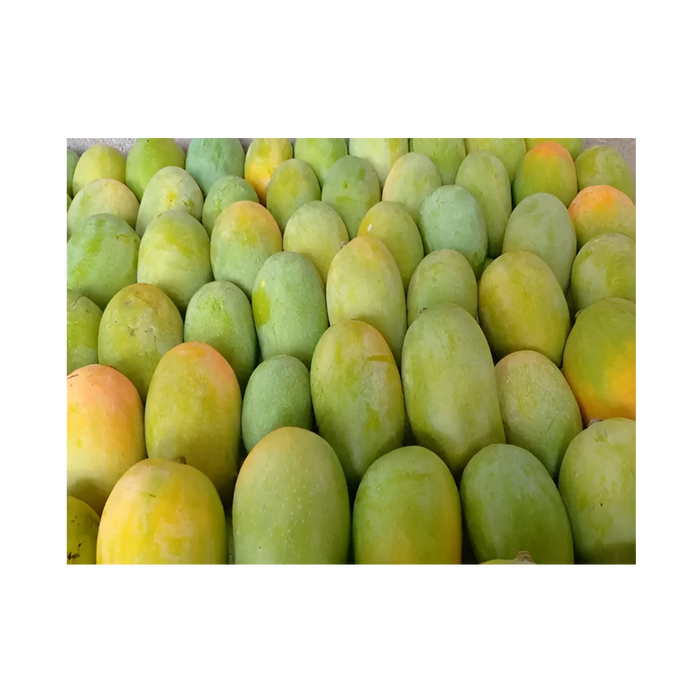Fresh Kesar Mango (Approx 12Pcs)