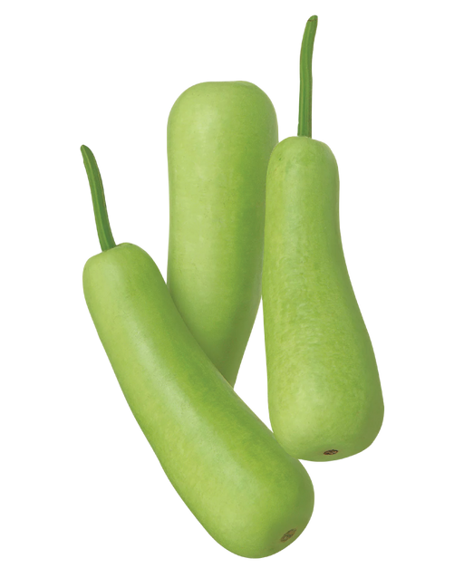 Long Squash (Dudhi) - Vegetables | indian grocery store in vaughan