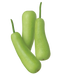 Long Squash (Dudhi) - Vegetables | indian grocery store in vaughan