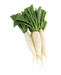 Daikon (Muli, White Radish) - Vegetables | indian grocery store in St. John's