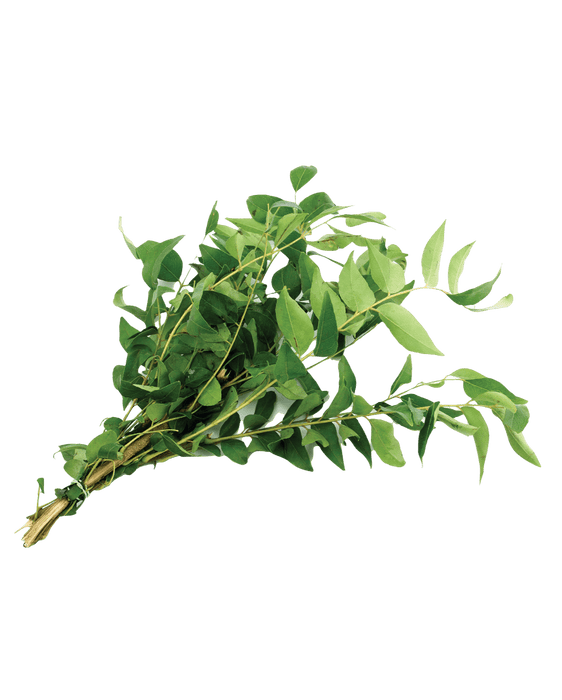 Curry Leaf - Vegetables | indian grocery store in Charlottetown