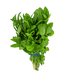 Mint Leaf - Vegetables - indian supermarkets near me