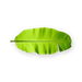 Fresh Banana Leaf - Vegetables - Spice Divine